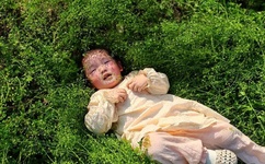 朋友的朋友2线观高清有翻译